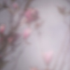 lucypreece.co.uk thumbnail
